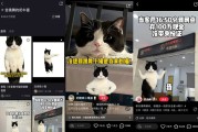 别让AI红视频蒙了眼