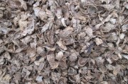 大米自然发酵技术：解锁传统美食的现代密码
