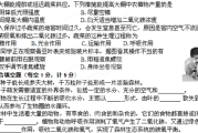 基因剪裁新境界：酶切技术如何让实验效率翻倍