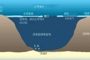 潜入深蓝：当AI成了咱们海底世界的造梦师