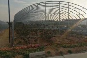 玻璃房子里的丰收秘密：现代温室如何让果蔬四季常青