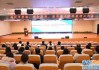 从入门到精通：手把手教你整理一份“会说话”的通用技术实践活动报告