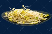 在家发豆芽，别只会傻傻浇水！跟这个视频学三招，根根粗壮还不腐烂