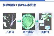 基础技术整理这事儿，咱得好好说道说道