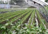 从“浇地”到“喂作物”：看看2026年各国节水灌溉技术的新招
