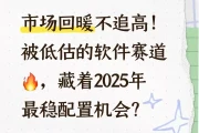 别再错过！这个被低估的软件赛道，或是2025年最稳“翻身”机会？