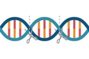 生命的修补匠：回望2017年基因修复技术的破晓时刻