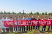 田间“点对点”精准出击：无棣传技破解产业难题！